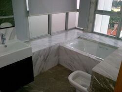 The Parc Condominium (D5), Condominium #476163441